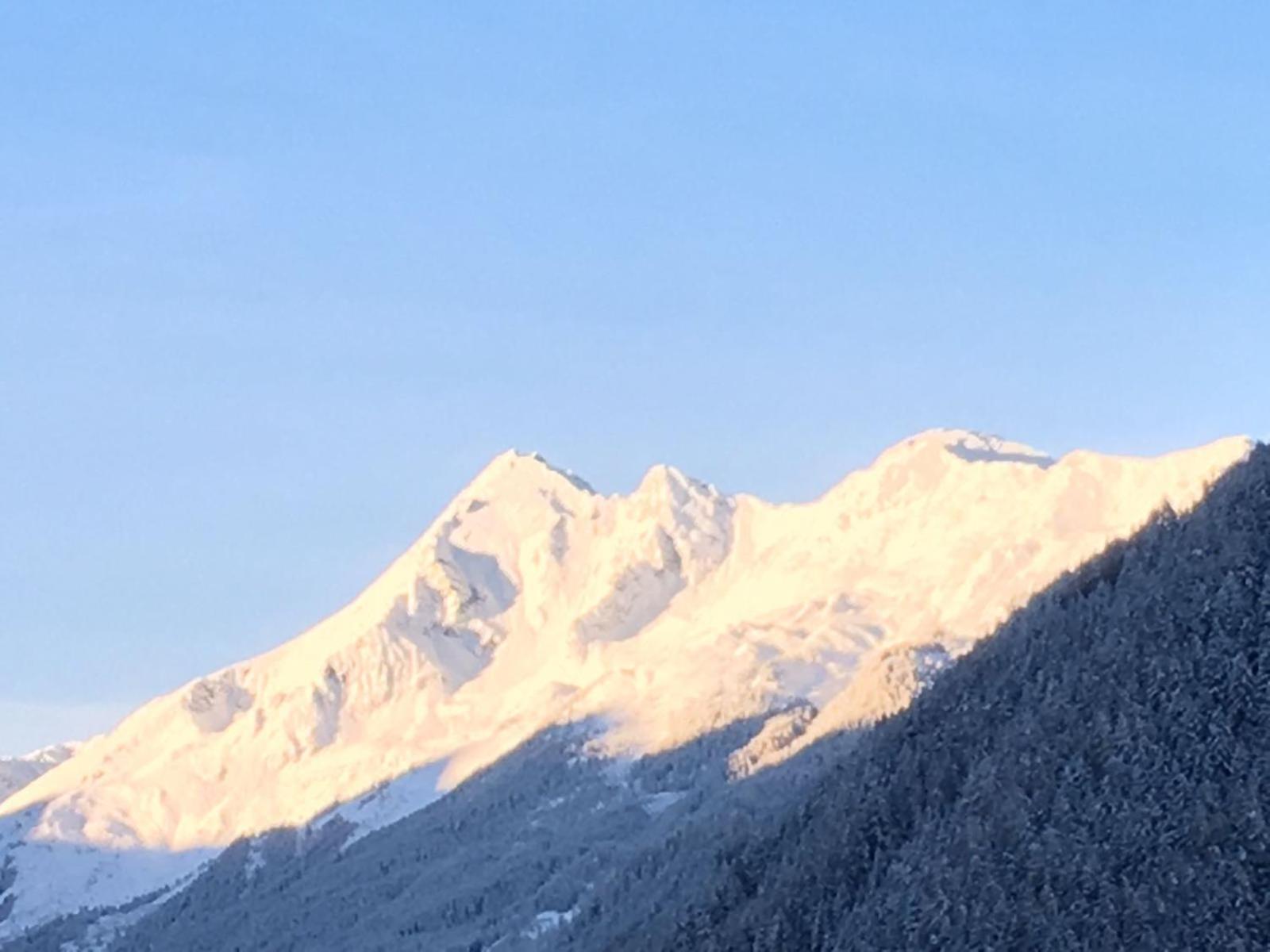 Haus Steinbock Bed & Breakfast Neustift im Stubaital Exterior photo